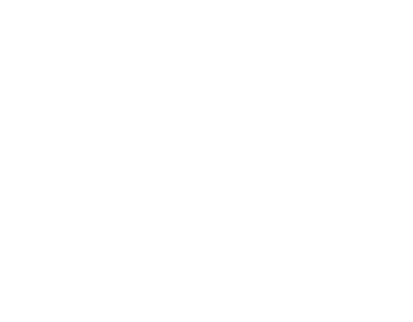 FASHION BUSINESS