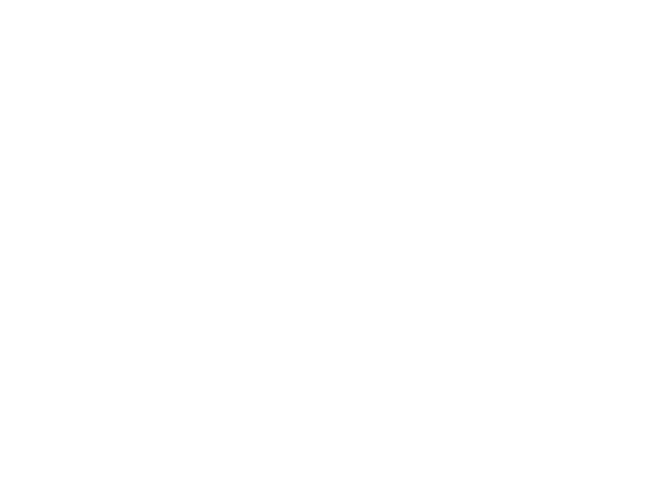 STYLIST